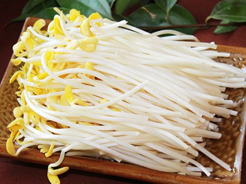 豆芽的營養(yǎng)價(jià)值 吃豆芽有什么好處 食用豆芽需要注意的地方