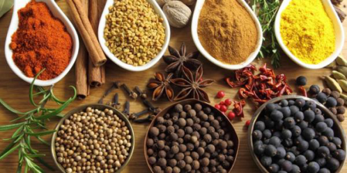 成都特色砂鍋串串香加盟